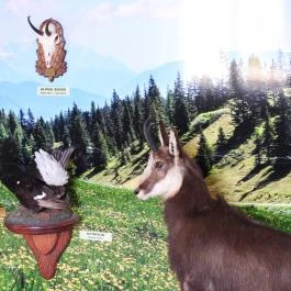 Hajósi Barokk Kastély Hajós - Egyéb