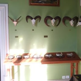 Hajósi Barokk Kastély Hajós - Egyéb