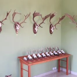 Hajósi Barokk Kastély Hajós - Egyéb