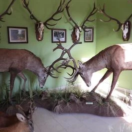 Hajósi Barokk Kastély Hajós - Egyéb