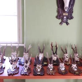 Hajósi Barokk Kastély Hajós - Egyéb