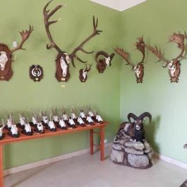 Hajósi Barokk Kastély Hajós - Egyéb