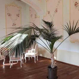 Hajósi Barokk Kastély Hajós - Egyéb