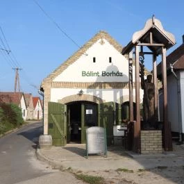 Hajósi pincefalu Hajós - Külső kép