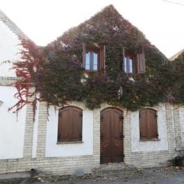 Hajósi pincefalu Hajós - Külső kép