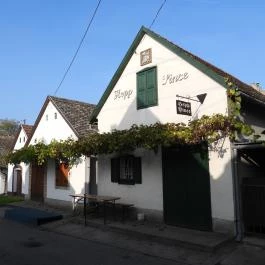 Hajósi pincefalu Hajós - Külső kép