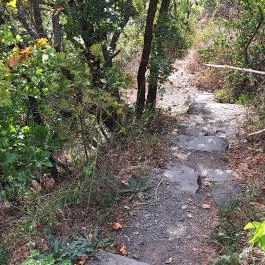 Haláp tanösvény Zalahaláp - Külső kép