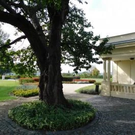 Halász-kastély, Kápolnásnyék - 