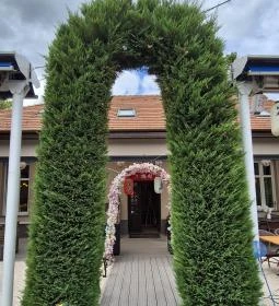 Hanami Bistro