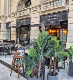 Hanami Restaurant
