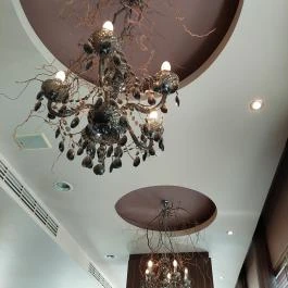 Hange Budapest - Egyéb