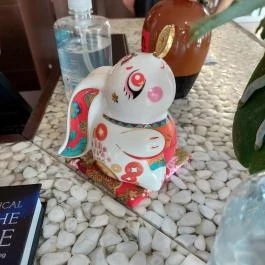 Hange Budapest - Egyéb