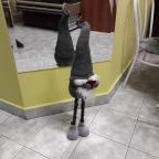 Hangulat Cukrászda Hajmáskér - Belső