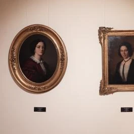 Hansági Múzeum - Cselley Ház Mosonmagyaróvár - Egyéb