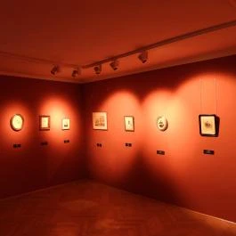 Hansági Múzeum - Cselley Ház Mosonmagyaróvár - Belső