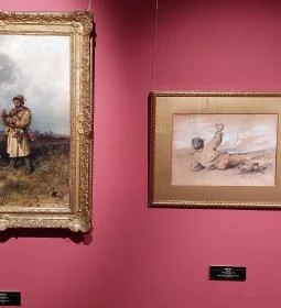 Hansági Múzeum - Cselley Ház