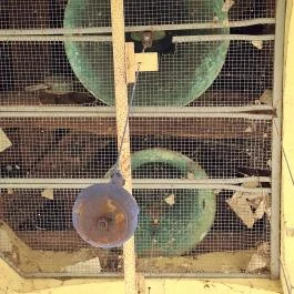 Harangtorony, Polány - Egyéb