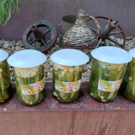 Harcsa Csárda, Százhalombatta - Étel/ital