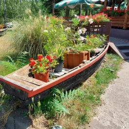 Harcsa Csárda, Százhalombatta - Külső kép