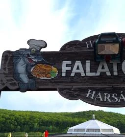 Harcsafészek falatozó