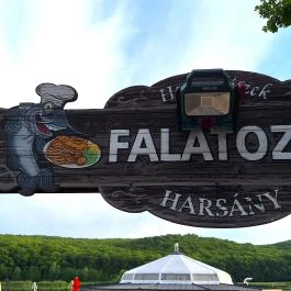 Harcsafészek falatozó, Harsány - Egyéb