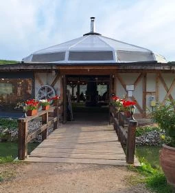 Harcsafészek falatozó