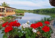 Harcsafészek falatozó Harsány