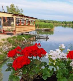 Harcsafészek falatozó