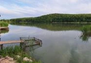 Harcsafészek falatozó Harsány