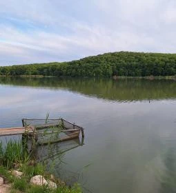 Harcsafészek falatozó