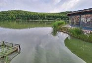 Harcsafészek falatozó Harsány