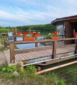 Harcsafészek falatozó