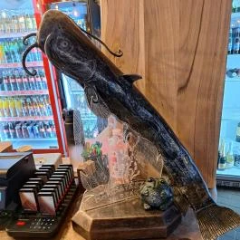 Harcsafészek falatozó, Harsány - Egyéb