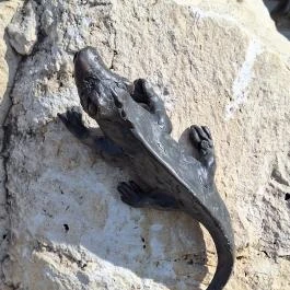 Három gyermek, Fertőszentmiklós - Egyéb