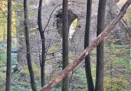 Háromhegyi Pálos templom-és kolostorrom Martonyi