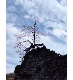 Háromhegyi Pálos templom-és kolostorrom