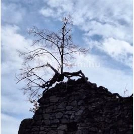 Háromhegyi Pálos templom-és kolostorrom Martonyi - Egyéb