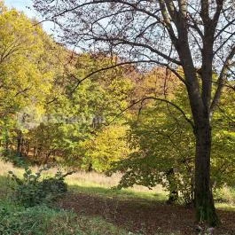 Háromhegyi Pálos templom-és kolostorrom Martonyi - Külső kép