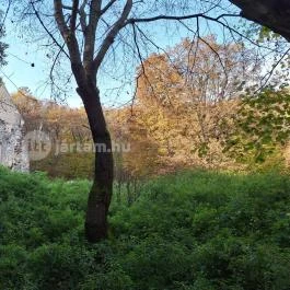 Háromhegyi Pálos templom-és kolostorrom Martonyi - Külső kép