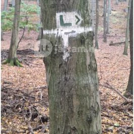 Háromhegyi Pálos templom-és kolostorrom Martonyi - Egyéb