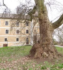 Hédervári kastély