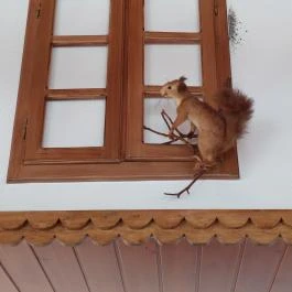 Hegyalja Vendéglő Pázmánd - Egyéb