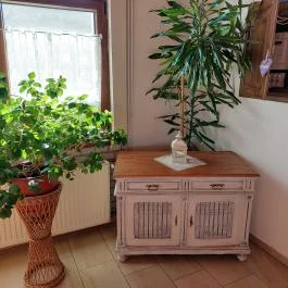 Hegyalja Vendéglő Pázmánd - Belső