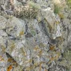 Hegyesdi várrom Hegyesd - 