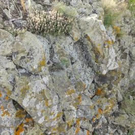 Hegyesdi várrom Hegyesd - Egyéb