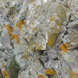 Hegyesdi várrom Hegyesd - Egyéb