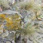 Hegyesdi várrom Hegyesd - 