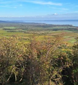Hegyestű Geológiai Bemutatóhely