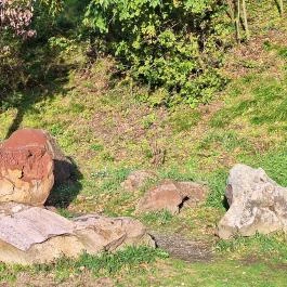 Hegyestű Geológiai Bemutatóhely, Monoszló - Egyéb