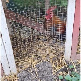 Heléna Hotel & SPA Levél - Egyéb